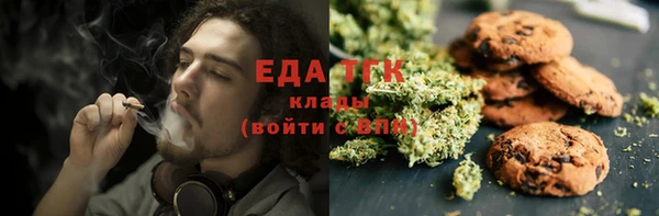 эйфоретик Алзамай