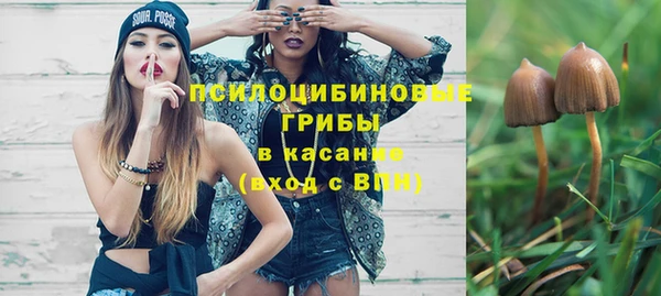 стафф Абинск