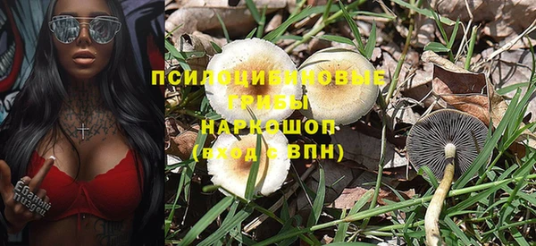 бошки Абаза