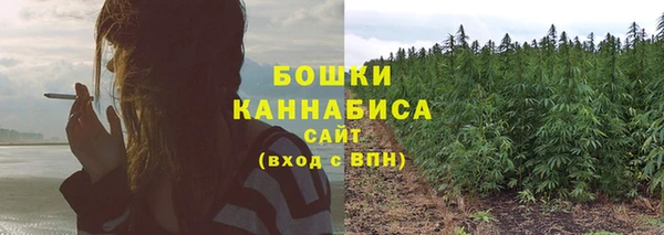 бошки Абаза