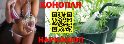 шишки Ливны