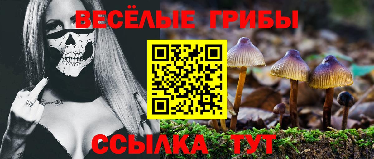 Псилоцибиновые грибы Magic Shrooms  купить наркотик  Грязи  Вход с VPN 