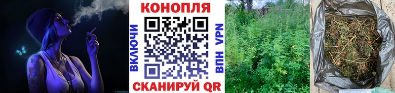 Шишки марихуана Amnesia Грязи